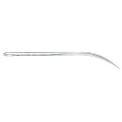 Post Mortem Needle Fig # 5