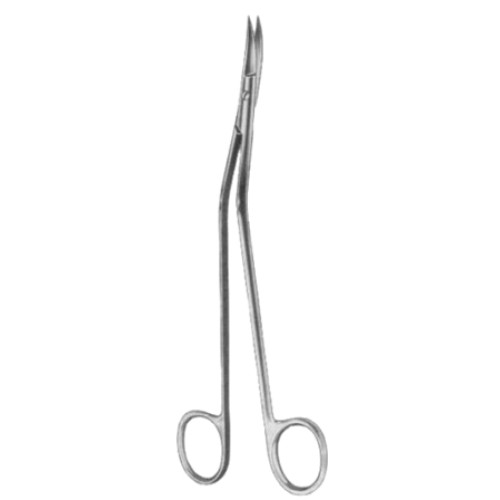 Dandy Dissecting Scissors 17cm/6 3/4