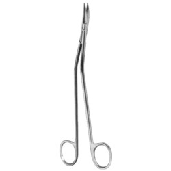 Dandy Dissecting Scissors 17cm/6 3/4