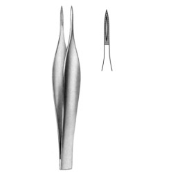 Feilchenfeld Splinter Fcps 9cm