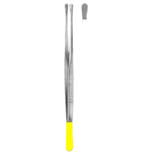 Wangensteen Dressing Forceps 15cm/6