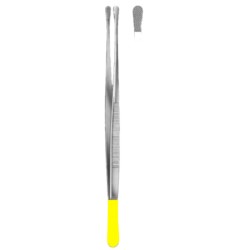 Wangensteen Dressing Forceps 25cm/10