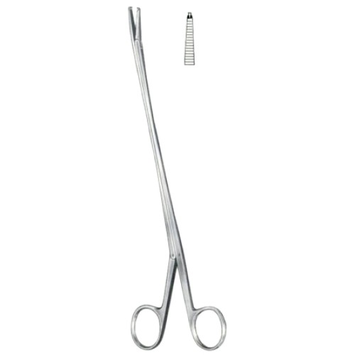 Brand Tendon Seizing Forceps 24cm/9 1/2