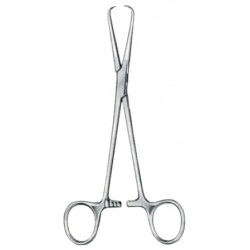 Barnhard Towel Forceps BJ 16.5cm/6 1/2