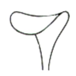 Wound Retractors 10mm 16cm/6 1/4