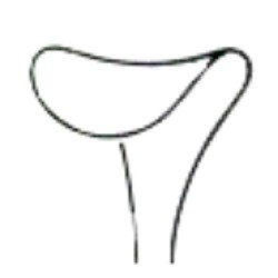 Wound Retractors 12mm 16cm/6 1/4