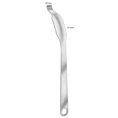 Schumacher(Wagner)  Bone Levers 37mm 34.5cm/13 1/2