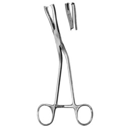 Dingmann Modif Bone Holding Forceps BJ 19cm/7 1/2