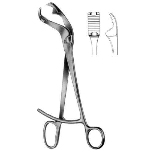 Verbrugge Bone Holding Forceps CJ 25cm/10