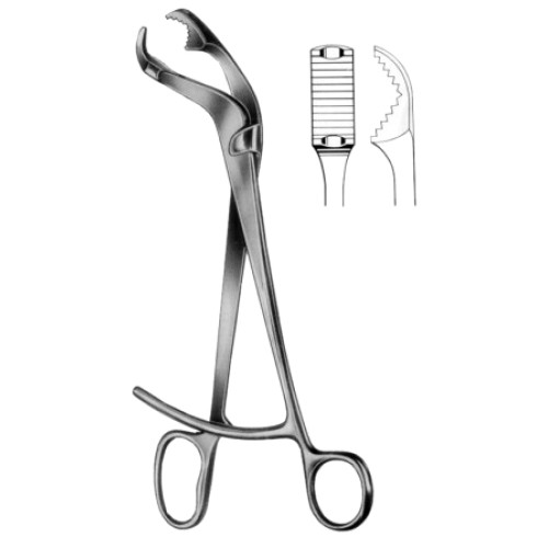 Verbrugge Bone Holding Forceps CJ 26cm/10 1/4