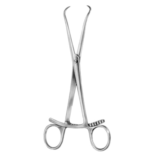 Bone Holding Forceps SJ 20cm/8