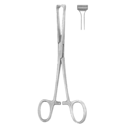 Steinmann Tendon Seizing Instruments BJ 16cm/6 1/4