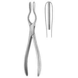 Walsham Septum Straighting Forceps 23cm/9