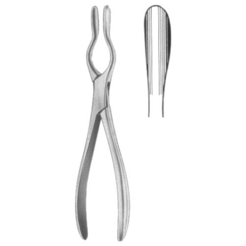 Walsham Septum Straighting Forceps 23cm/9