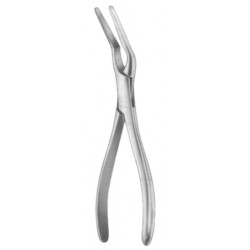 Asch Septum Straighting Forceps 23cm/9