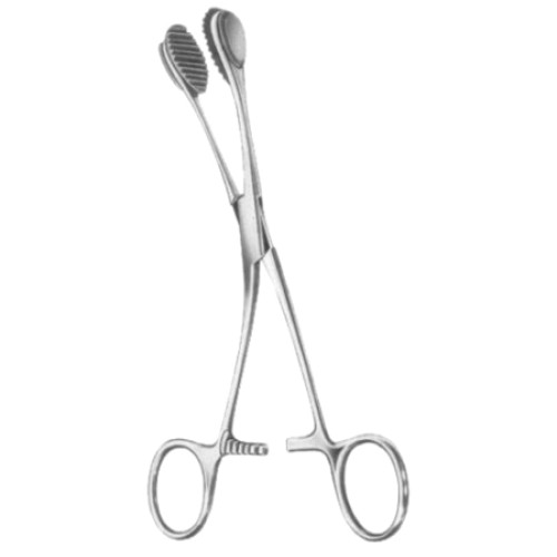 Young Tongue Depressors and Forceps 17cm/6 3/4