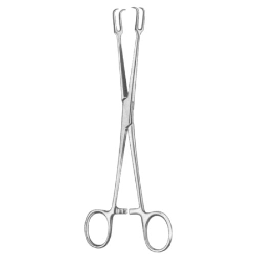 Museux Tonsil Seizing Forceps (Curved) 20cm/8