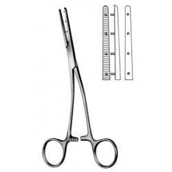 Mastin Muscular Fcps left 17cm