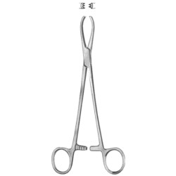Littlewood Intestinal Tissue Forceps BJ 18.5cm/7 1/4