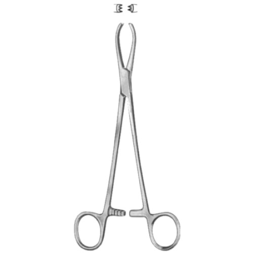 Littlewood Intestinal Tissue Forceps BJ 18.5cm/7 1/4