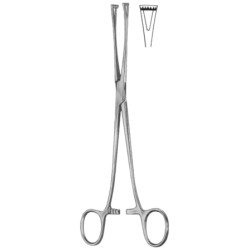 Lockwood Intestinal Tissue Forceps BJ 20cm/8