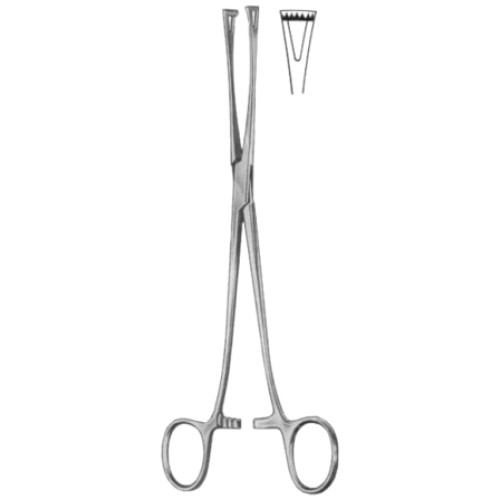 Lockwood Intestinal Tissue Forceps BJ 20cm/8