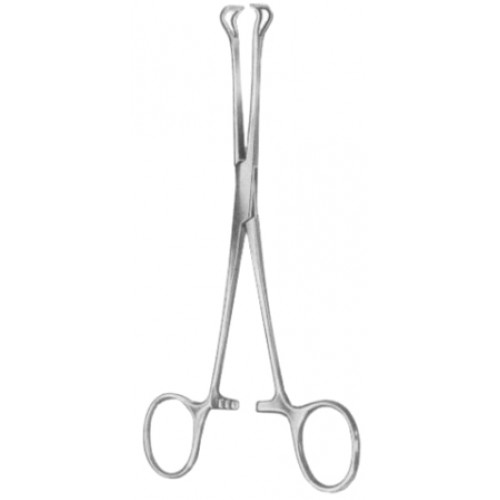 Babcock (Standard) Tissue Forceps BJ 16cm/6 1/4