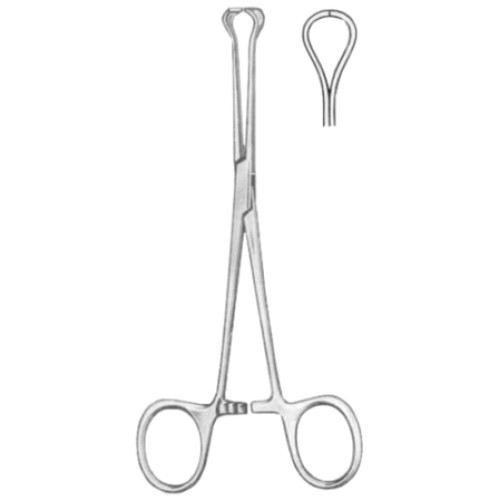 Baby-Babcock Tissue Forceps BJ 16cm/6 1/4