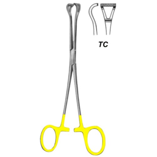 Babcock Tissue Forceps BJ 16cm/6 1/4