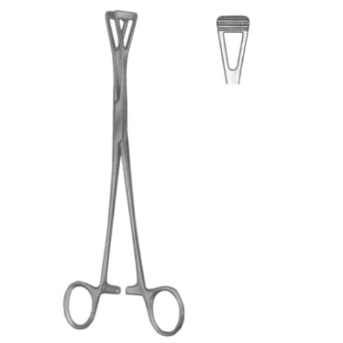 Intestinal Tissue Forceps BJ 18cm/7