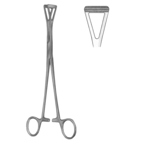 Intestinal Tissue Forceps BJ 20cm/8