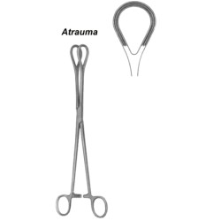 Organ Grasing Forceps BJ 25cm/10