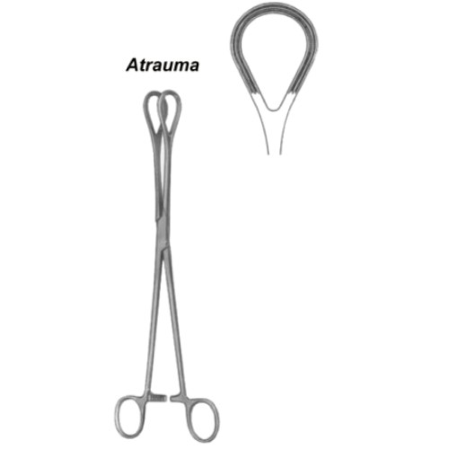 Organ Grasing Forceps BJ 25cm/10