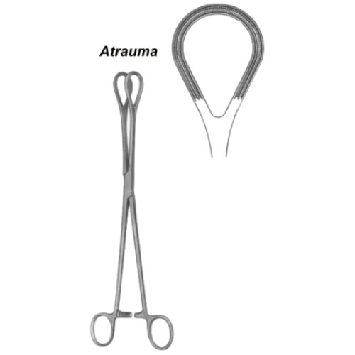 Organ Grasing Forceps BJ 26cm/10 1/4