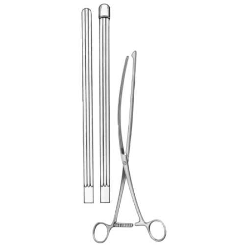 Nussbaum Stomach Clamps Forceps BJ Straight 30cm/12