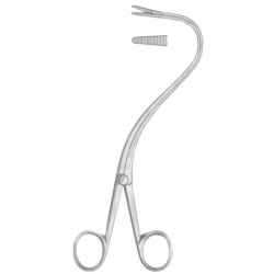 Elsasser Nephrostomy Forceps 20cm/8