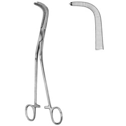 Gray Gall Duct Forceps BJ 1:2 23cm/9