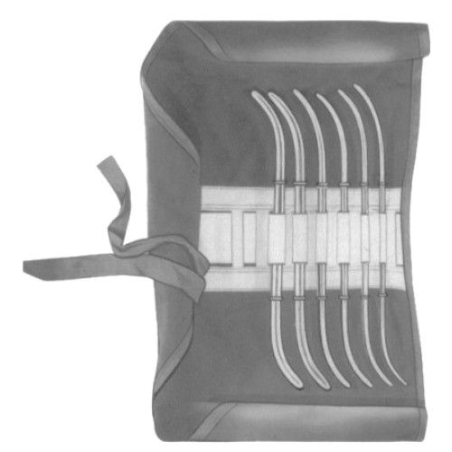 Hank Uterine Dilator set/6 with pouch