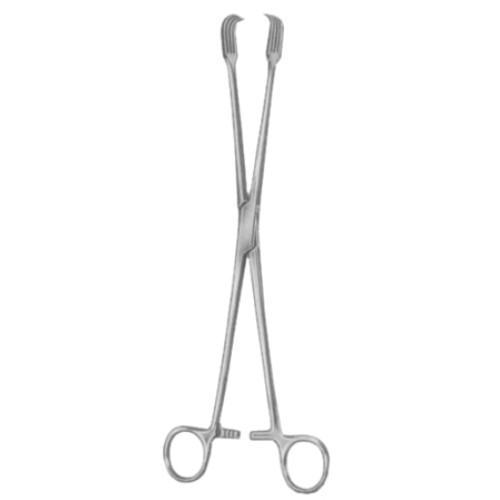 Czerny Tenaculum Forceps BJ 26cm/10 1/4