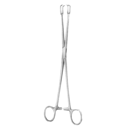 Schroeder Tenaculum Forceps BJ 2:2 Straight 24cm/9 1/2