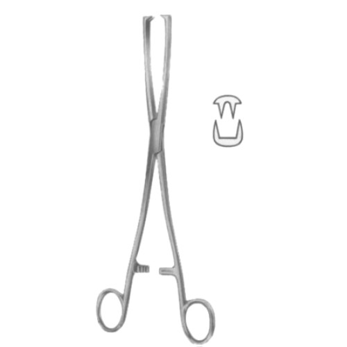 Museux Tenaculum Forceps BJ 2:2 Straight   8mm 24cm/9 1/2