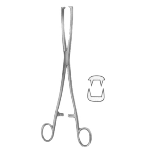 Museux Tenaculum Forceps BJ 2:2 Straight 10mm 24cm/9 1/2