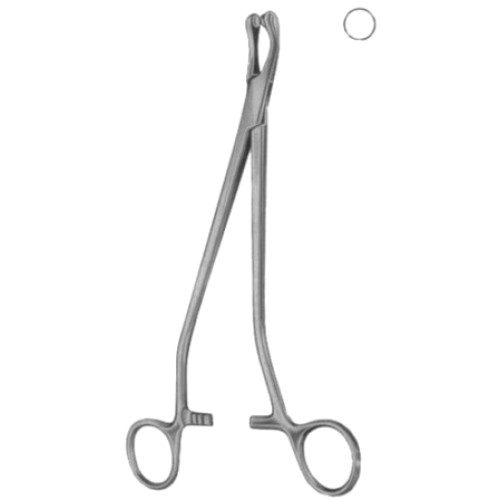 Thoms-Gaylor Cervical Biopsy and Specimen Forceps BJ   24cm/9 1/2