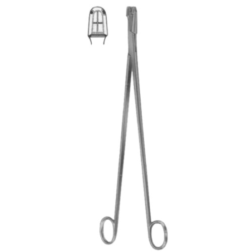 Schubert Cervical Biopsy and Specimen Forceps 29cm/11 1/4