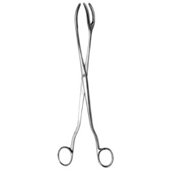 Sterilizing Fcps 1x2pr 20cm