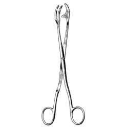 Rogge Sterilizing Fcps 23cm