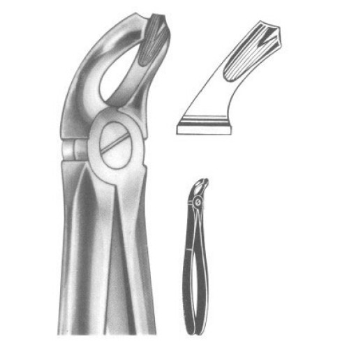 Extracting forceps english pattern fig. 20