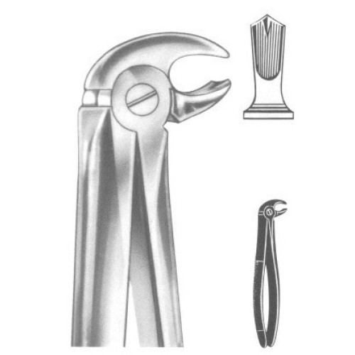 Extracting forceps english pattern fig. 22