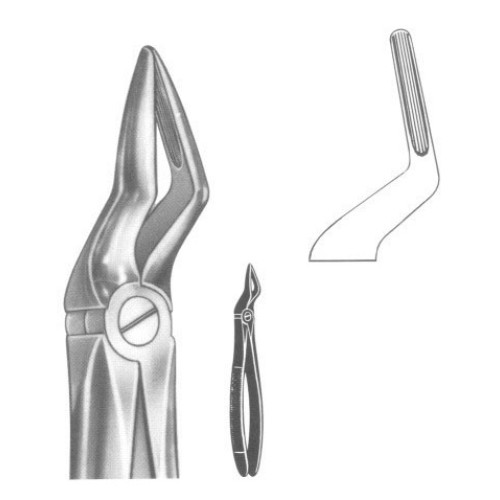 Extracting forceps english pattern fig. 12