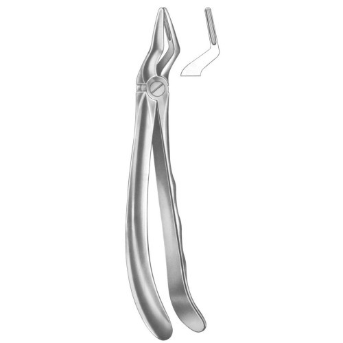 Extracting forceps english pattern fig. 51